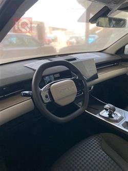 جیتۆر داشينگ